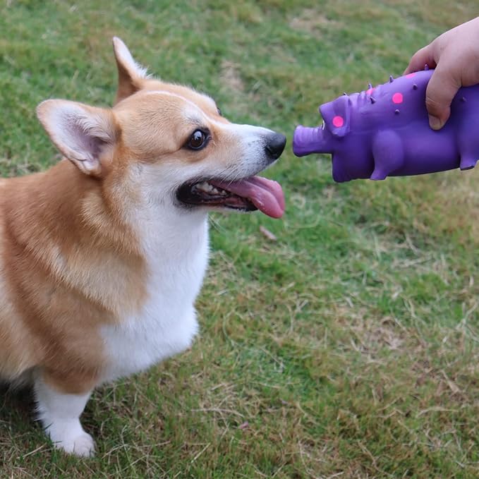 Pig Squeaky Dog Toy, 2 PCS Interactive Rubber Dog Chew Toy - Durable Latex Spot Grunting Pig Toys That Oink for Small Medium Large Dogs (Blue, Purple)