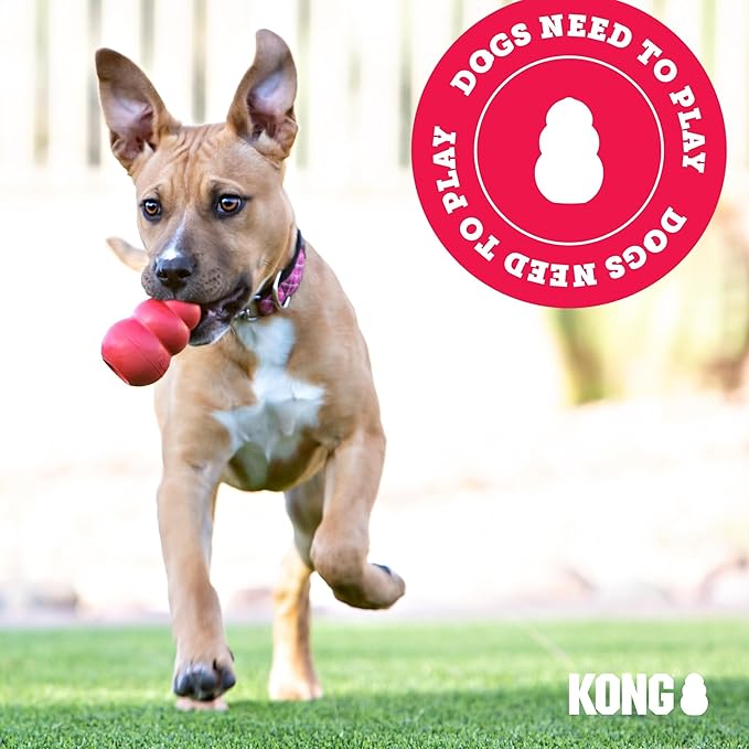 KONG Extreme Dog Toy - Fetch & Chew Toy - Treat-Filling Capabilities & Erratic Bounce for Extended Play Time Most Durable Natural Rubber Material - for Power Chewers - for X-Large Dogs (Pack of 2)