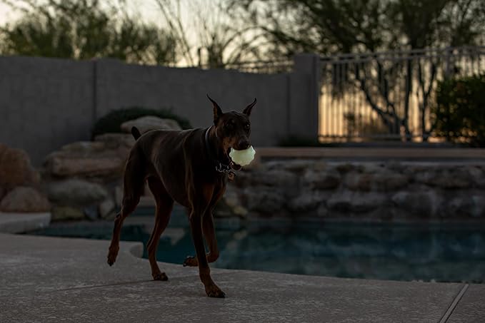 Jolly Pets JJ03 GLOW 3" Jumper Pet Toy Balls, Small