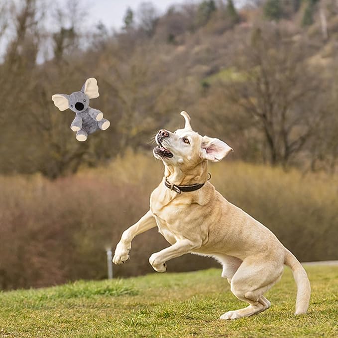 Blnboimrun Plush Dog Toy Koala - Squeaky & Crinkle Paper Chew Toys for Large & Medium Dogs