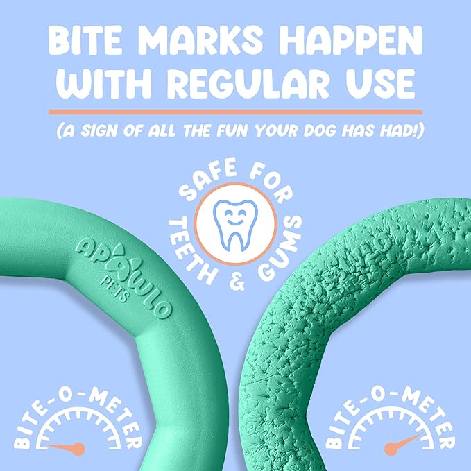 Set of 2 Active Dog Toy Rings - Floating Dog Rings for Outdoor Play, Training & Fetch - Durable Fetch Toy, Frisbee Alt, Outside Yard Toys for Medium Breeds - Green