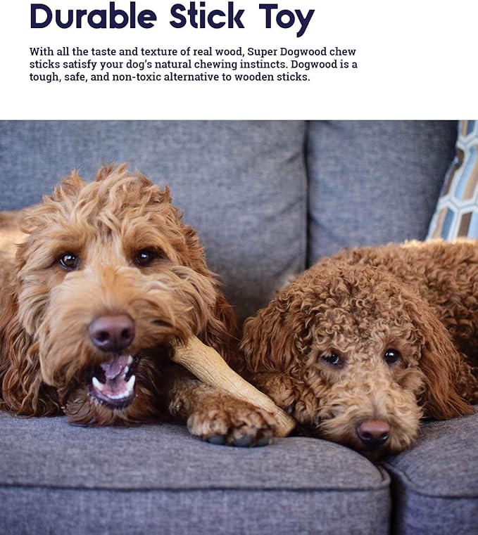 Petstages Outward Hound Super Dogwood Durable Dog Chew Toy, Extra Small - Long Lasting Chew Stick Made with Real Wood - USA Made, XS