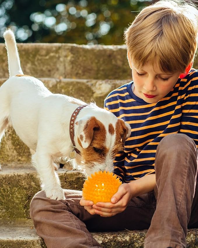 3.5" Light Up Squeaky Dog Balls,Led Dog Balls 6 Colors for Teething, BPA Free Non-Toxic,Spiky Dogs Ball Durable Toys for Aggressive Chewers Large Medium and Small Dogs Tennis Ball for Dogs