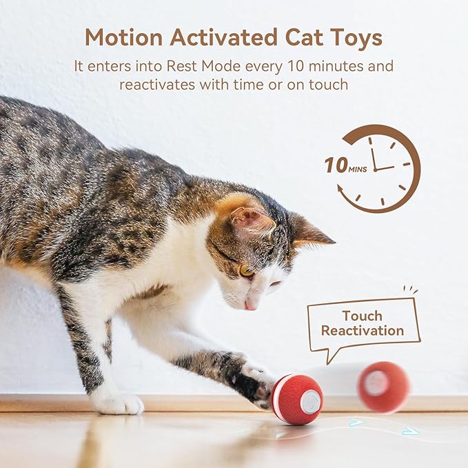 Cheerble Interactive Cat Toys for Indoor Cats, Automatic Cat Ball Toy for Bored Indoor Cats, Electric Kitten Toys with Light, Moving Stimulating Cat Toys,Red