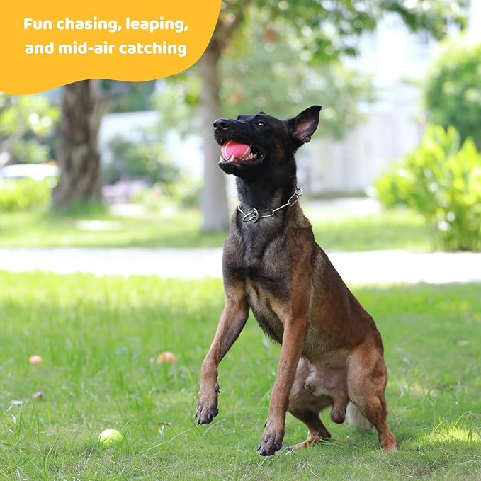 Pup's Pick Squeaky Tennis Balls - 2.5" Fun Dog Balls for Fetch, 12-Pack in Bright Colors (Yellow, Blue, Pink, Orange), Includes 1 Reusable Carry Bag