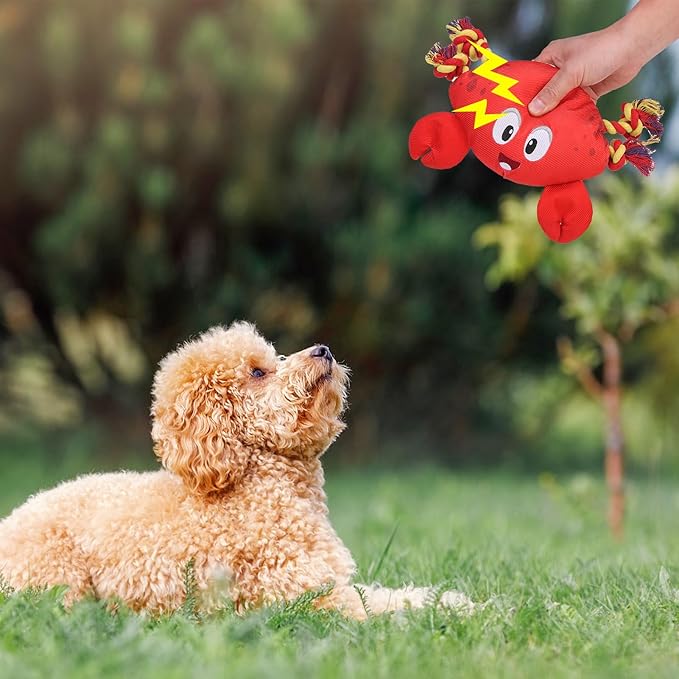 SCENEREAL Dog Water Toy for Small Medium Dogs- Floating Dog Toys Squeaky Toys for Pool Fetch, Crab Shape Durable Rope Interactive Pet Chew Toy Summer Outdoor Interactive Play
