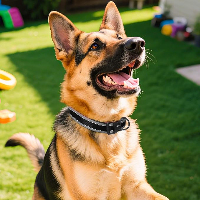 Reflective Dog Collar with Soft Padding Dog Collar for Medium & Large Dogs, No Pull, Heavy Duty, Adjustable Nylon Collar with Quick-Release Buckle, Walking Training-Black-XL