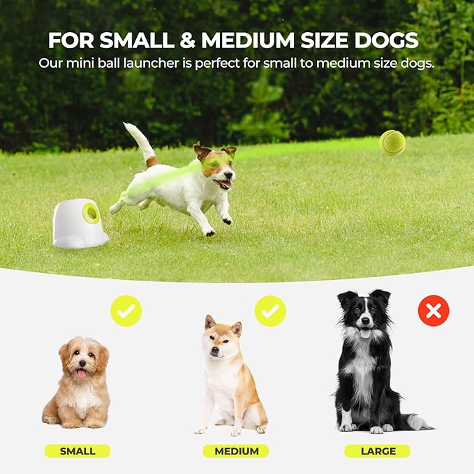 ALL FOR PAWS Automatic Dog Ball Launcher, Interactive Ball Thrower Dog Toys Includes 3pcs Tennis Balls for Small/Medium Dogs