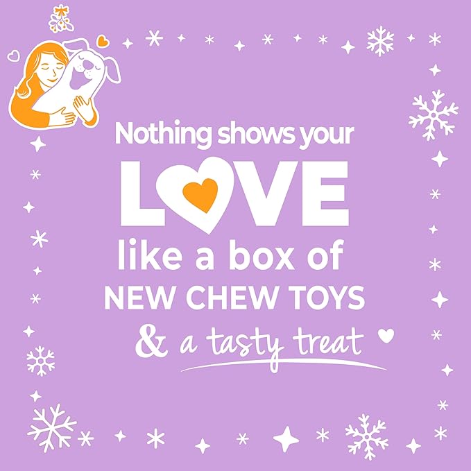 Nylabone Dog Gift Box, Includes 4 Rubber Strong Chew Toys and 1 Natural Treat, Gifts for Dogs, Small - Up to 25 lbs, 5 Pack