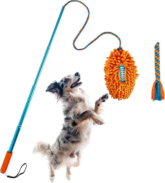 ALL FOR PAWS Interactive Flirt Pole Toy for Dogs Training & Exercise – Durable Teaser Wand with Luring Rope, Tug of War Chase Toy for Small to Medium Dogs