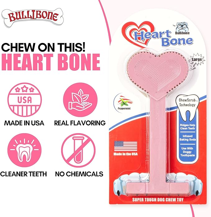 Bullibone Nylon Dog Chew Toy Nylon Bone - Improves Dental Hygiene, Easy to Grip Bottom, and Permeated with Flavor (Peppermint, Large - Single)
