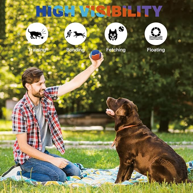 AMA SPORT Squeaky Balls for Dogs 2.5" Small Medium Dog Tennis Balls for Throwing and Fetching Dog Toys for Training, Exercise, High Bouncing 12 Pack Multicolor