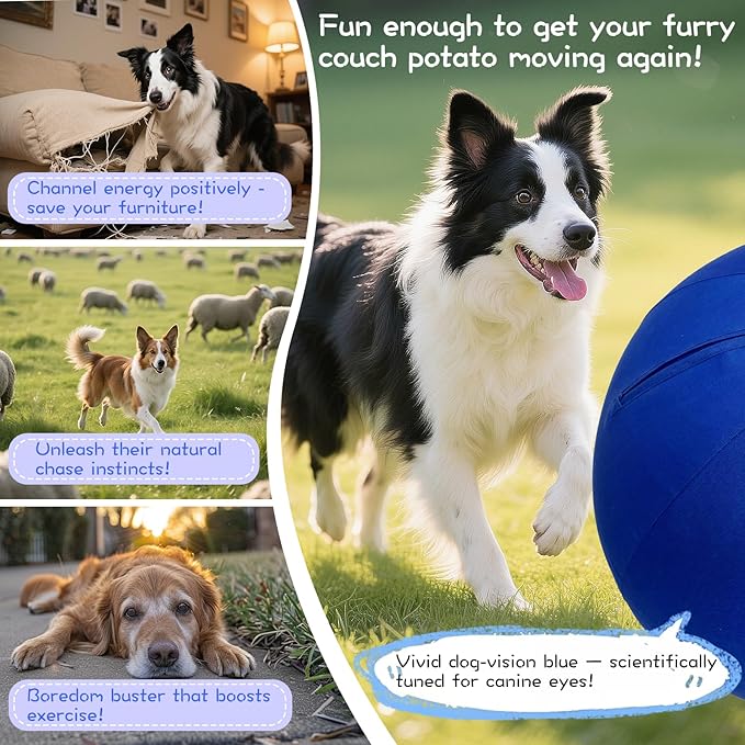 25" Herding Ball for Dogs – Indestructible Horse Ball with Cover – Fun & Durable Herding Dog Toys for Outdoor Play and Training – Ideal for Australian Shepherds & Other Large Breeds