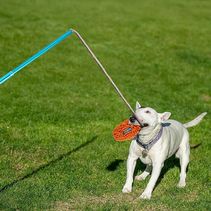 ALL FOR PAWS Interactive Flirt Pole Toy for Dogs Training & Exercise – Durable Teaser Wand with Luring Rope, Tug of War Chase Toy for Small to Medium Dogs