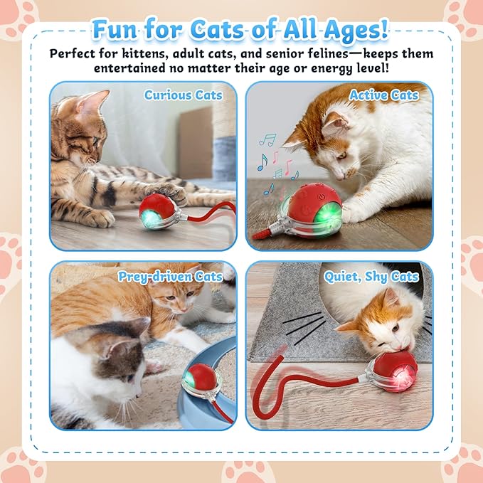 Interactive Cat Toys for Indoor Cats, 2025 New Upgraded Moving Kitten Ball with Chirping Sound, Rechargeable Fast Rolling Ball, Fun Automatic Cat Toys for Bored Adult Kitten Exercise, Red