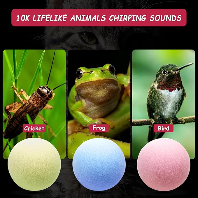 Cat Toy Balls with Sound, Chirping Cat Toys with Catnip, 3 Pcs EVA Rolling Toy Balls, Interactive Kitten Toys for Indoor Cats(Bird+Frog+Crickets, EVA)
