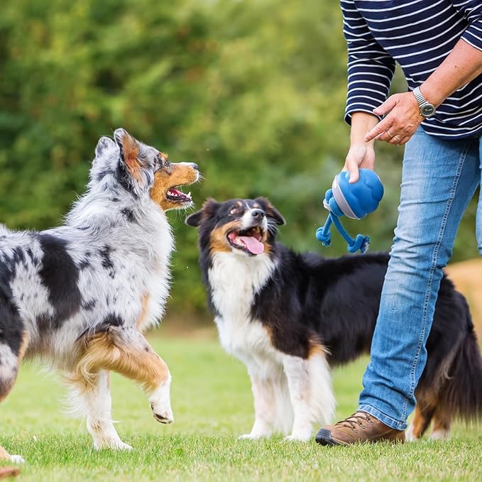 Aerbee Interactive Dog Toys Ball - Fun Moving Smart Dog Toy Active Rolling Ball to Keep Them Busy for Large, Medium, and Small Puppy Dogs, with 2Pcs Pet Chew Toy Ropes for Indoor Boredom Pets, Blue