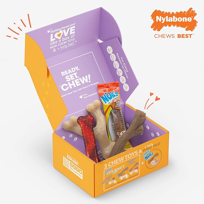 Nylabone Dog Gift Box, Includes 3 Strong Chew Toys and 1 Natural Treat, Gifts for Dogs, Small - Up to 25 lbs, 4 Pack