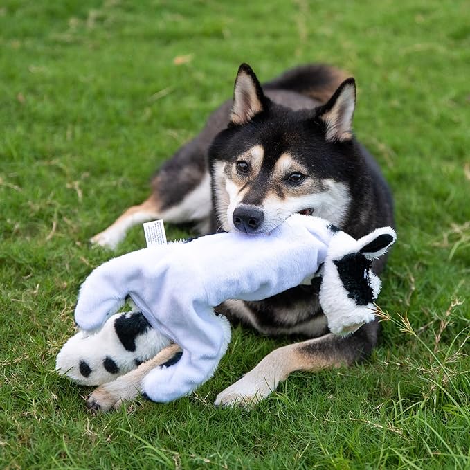 2-in-1 Stuffless Squeaky Dog Toys with Soft, Durable Fabric for Small, Medium, and Large Pets by Best Pet Supplies - No Stuffing for Indoor Play, Sheep, Cow, size L