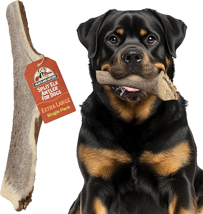 Heartland Elk Antlers for Dogs - Daily Dental Care Chews for Aggressive Chewers to Reduce Plaque & Prevent Destructive Behavior (Splinter Free, 8+", X-Large, 1-Pack, Grade A, USA Made)