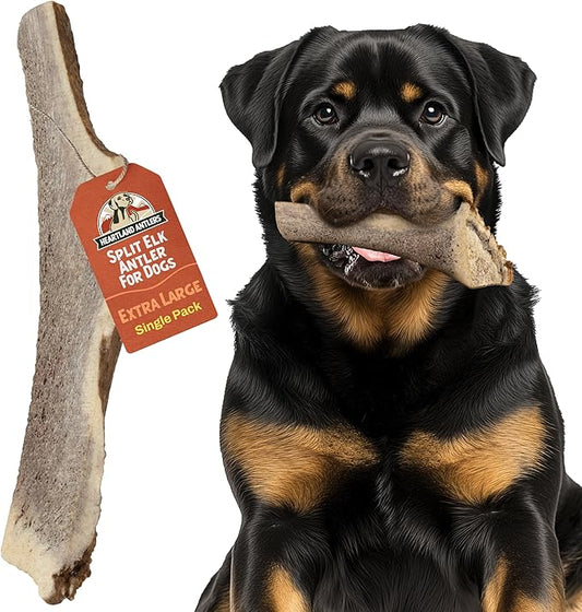 Heartland Elk Antlers for Dogs - Daily Dental Care Chews for Aggressive Chewers to Reduce Plaque & Prevent Destructive Behavior (Splinter Free, 8+", X-Large, 1-Pack, Grade A, USA Made)