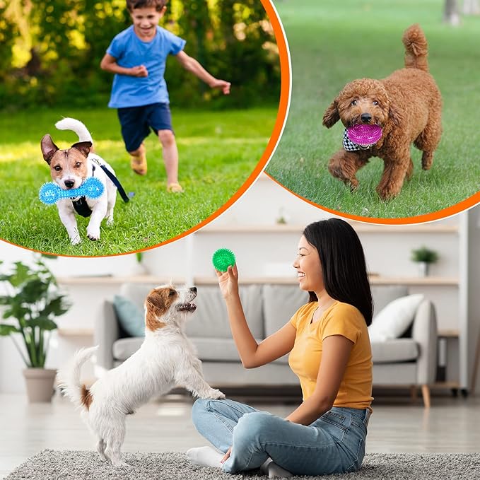 9 Pcs Dog Squeaky Toys Set, Dog Squeaky Balls Bone Shape Teething Toys Donut Shape Balls for Small Puppy Medium TPR Rubber Pet Chew for Training Fetching Teething