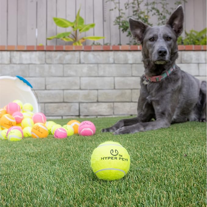 Hyper Pet Dog Tennis Balls - 12 Pack 2.5" for Exercise and Fetch; Interactive Toys; Great for Small Breeds