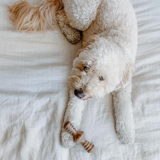 Real Bacon Medium 3-Pack Durable Dog Chew Toys for Aggressive Chewers, Made in USA – Wishbone, Zaggler, Stick