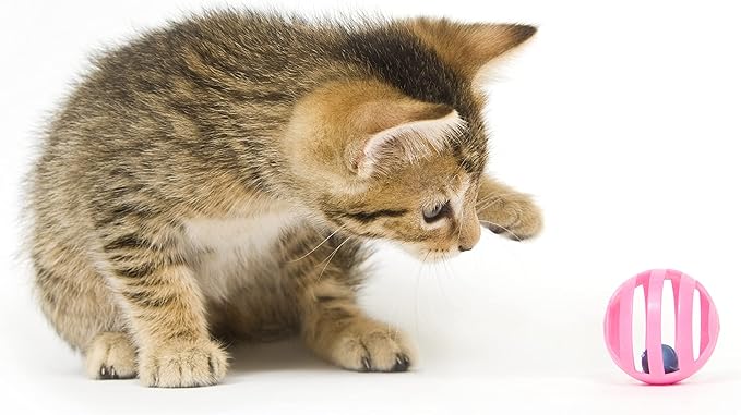 Fashion's Talk 12PCS Value Pack Plastic Ball Cat Toys Lattice Balls with Bell Jingle Kitten Toy,Gift Box 1.5" 6 Styles