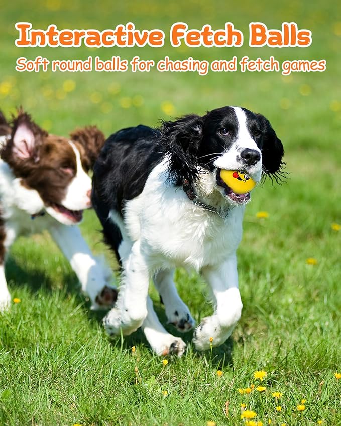 Squeaky Dog Toys, Interactive Soft Plush Puppy Toy Balls for Small Medium Breed, Cute Stuffed Pet Teething Ball Pack to Keep Dogs Busy