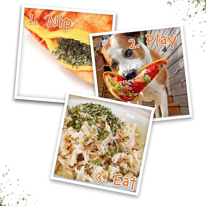 Doggijuana Tuffer Chewer Plush Dog Toy | Funny Dog Toy Plush with Juananip Catnip for Dogs | Calming Aid for Dogs | Interactive Squeaky Chew Toy for Play (Supreme Pizza)