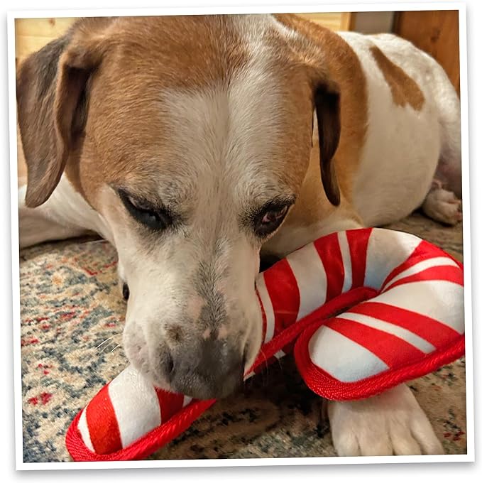 Doggijuana Tuffer Chewer Plush Dog Toy | Funny Dog Toy Plush with Juananip Catnip for Dogs | Calming Aid for Dogs | Interactive Squeaky Chew Toy for Play (Candy Cane)