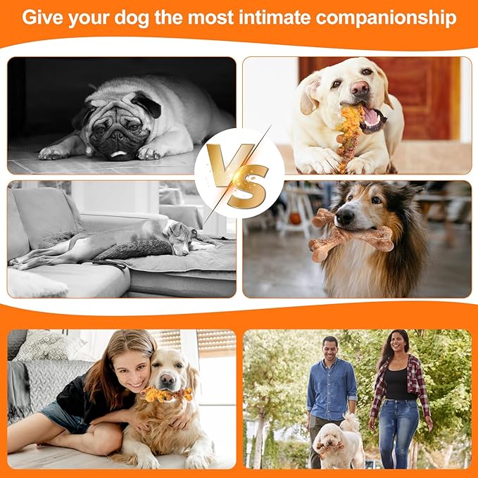 2-Pack Tough Large Dog Chew Toys - Bacon Flavor, Durable Nylon Dog Bone Toy for Aggressive Chewers, Small/Medium/Large Breed - Teeth Cleaning & Training, Avoid Loneliness & Gift