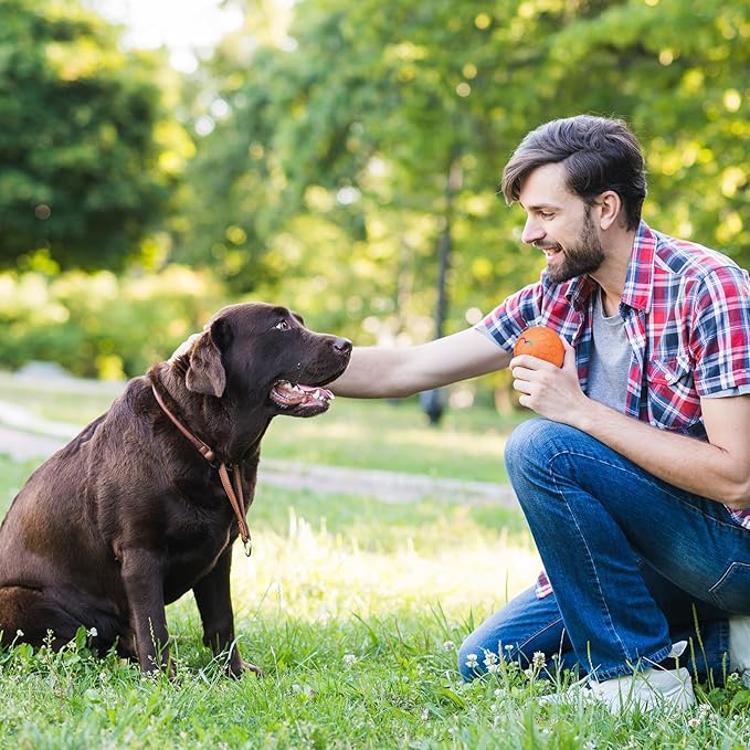 Smart Interactive Dog Toys Ball, Auto Bouncing Rotating Ball, Moving Pet Toys for Small Dogs Under 20 lbs - 2.2 Inch Puppy Toy for Indoor/Outdoor Play, USB Rechargeable, Fun Gift for Boredom, Orange