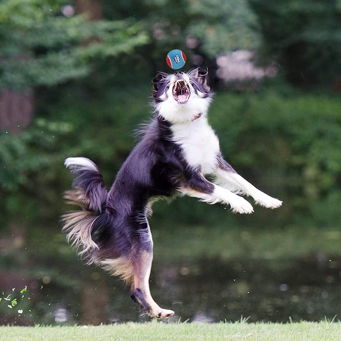 GiGwi Tennis Balls for Dogs, Squeaky Dog Tennis Balls for Exercise, High Bouncy Dog Balls Bright Colors 2.5 Inches, Interactive Funny Dog Toys for All Breeds of Dogs Indoor & Outdoor Dog Games, 3 Pack