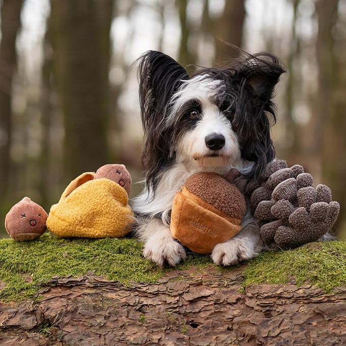 Interactive Plush Dog Toy, Enrichment Crinkle Treat Puzzle Toys for Boredom and Stimulating, Acorn Shaped Snuffle Dog Toys, Hide and Seek Toy for Small, Medium and Large Dogs