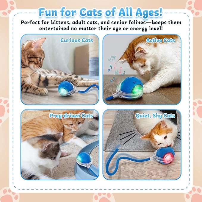 Interactive Cat Toys for Indoor Cats, 2025 New Upgraded Moving Cat Ball with Chirping Sound, Rechargeable Fast Rolling Ball, Fun Automatic Kitten Toys for Bored Adult Kitten Exercise, Blue