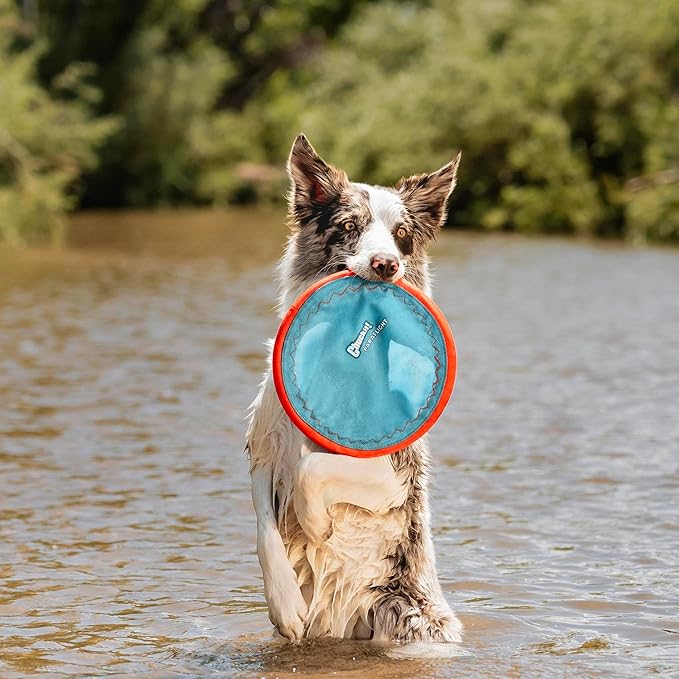 Chuckit! Paraflight Flying Disc Dog Toy - Water Floating Flyer - Durable Nylon Construction with Soft Rubber Edges - for Medium and Large Dogs - Size Large - 9.75" L x 9.75" W - Pack of 4