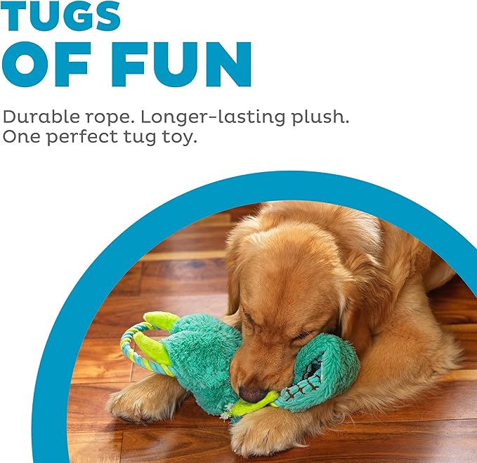 Outward Hound Ropiez Rope Interactive Dog Tug Toy for Tugging Squeaky Fun, 21 Inch Dragon, Blue, Medium