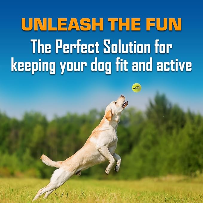 Nerf Dog 16-Piece Dog Toy Gift Set, Includes 16 2.5in Squeak Tennis Balls and a 10.25in Bucket, Nerf Tough Material, Green