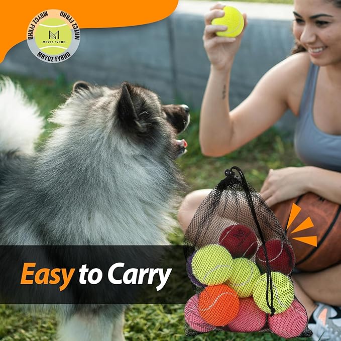 Tennis Ball Dog Toys 2 Pack - 4-Inch Durable and Safe Dog Ball, Sound Output from The Large Tennis Balls for Dogs with Mesh Bag, Perfect for Indoor and Outdoor Play