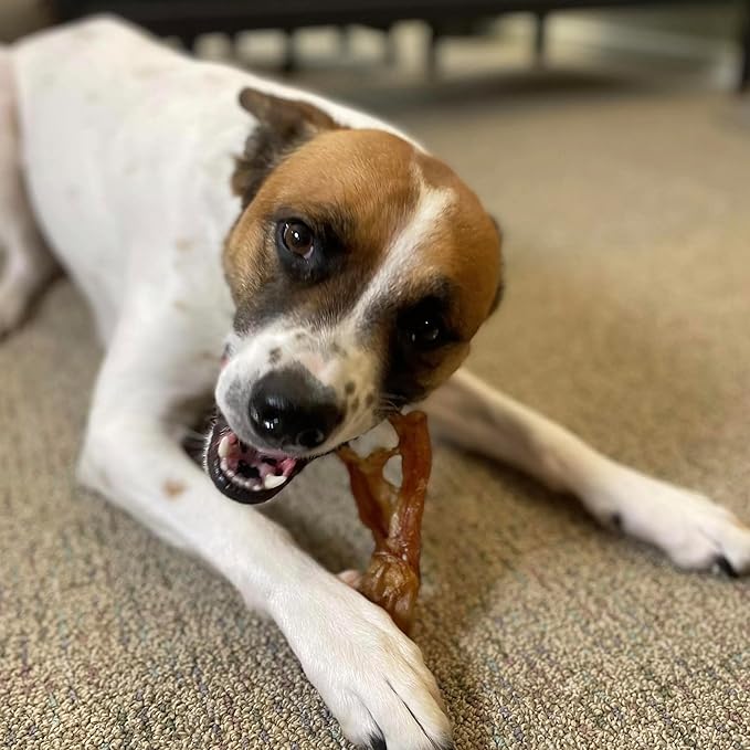 Pupford Thick Beef Tendon Chews for Dogs & Puppies, All-Natural Dog Chew with Glucosamine for Joint Health, Long-Lasting Toy, Great for Teething (5 Count)