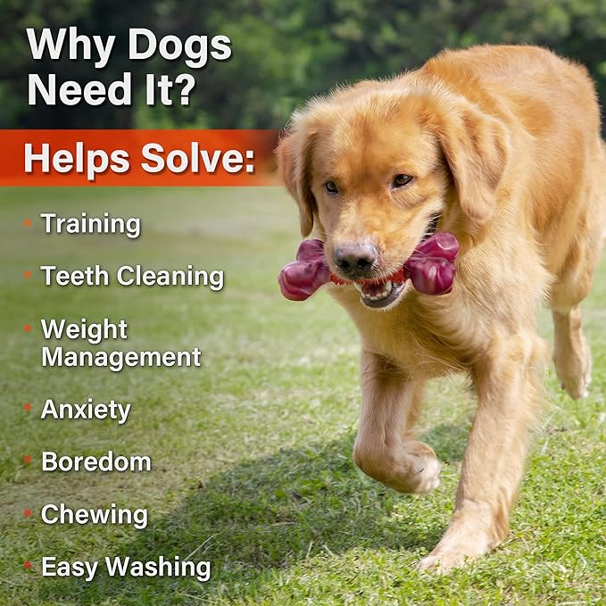 Apasiri Dog Toys for Aggressive Chewers Large Breed 2-Pack: Heavy Duty Chew Toys for Medium Dogs Indestructible Orange Dog Gift