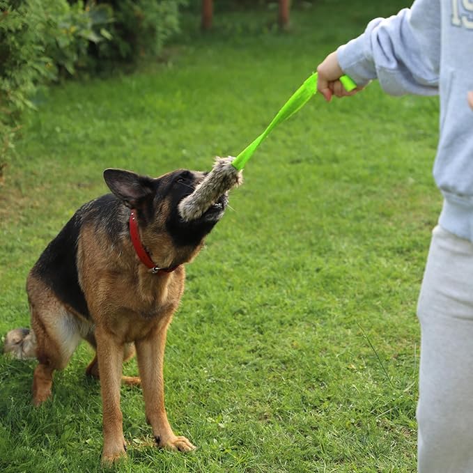 Dingo Tug Toys for Dog, Faux Fur Handle Bungee Agility Motivation Reward Z30021