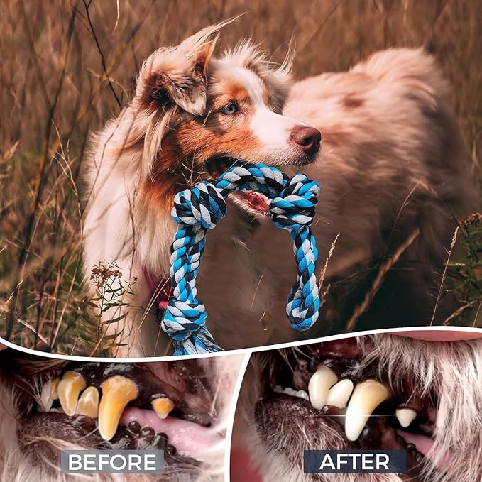 2 Pack Dog Rope Toys for Large Breed Aggressive Chewers, Nearly Indestructible Chew Rope Tug of War Toy for Dogs, Interactive Toy for Boredom, Teeth Cleaning (390g/each)