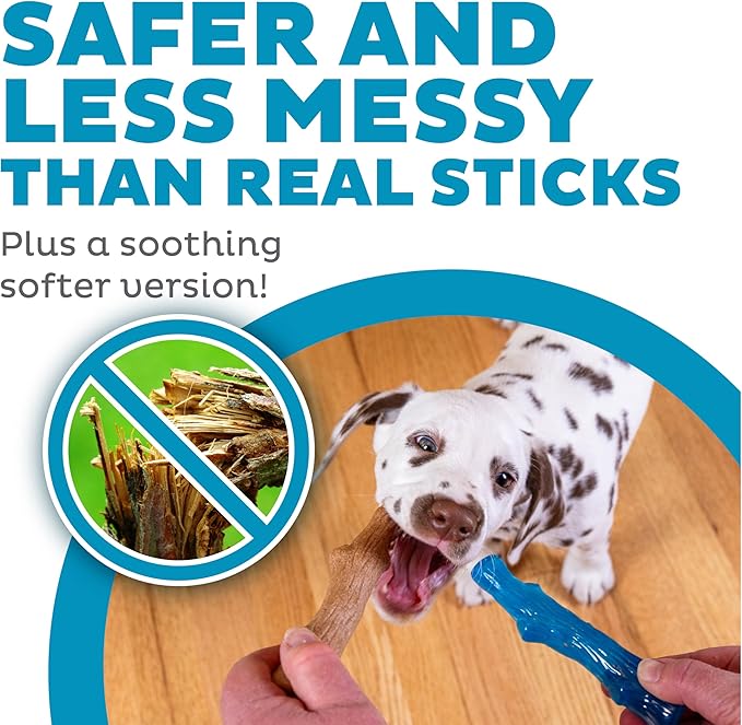 Outward Hound Dogwood Puppy Durable Dog Chew Toys, Real Wood & Teething Bone, 2-Pack, Small