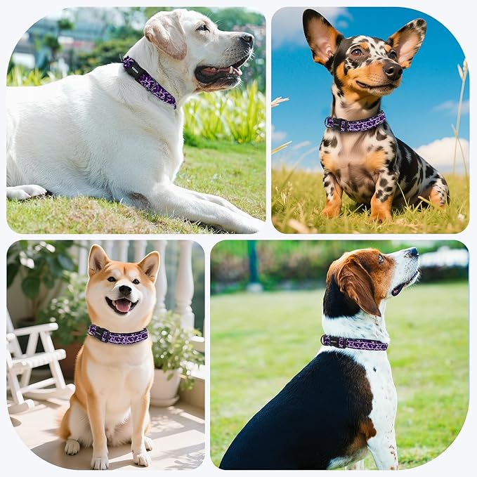Reflective Dog Collar with Soft Padding Dog Collar for Medium & Large Dogs, No Pull, Heavy Duty, Adjustable Nylon Collar with Quick-Release Buckle, Walking Training Purple camo-L