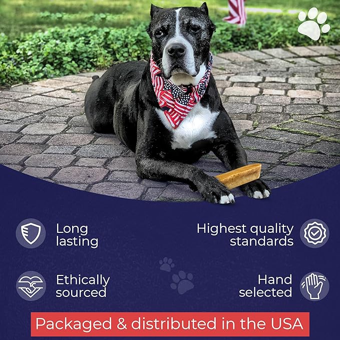 Devil Dog Pet Co. Himalayan Yak Cheese Dog Chews, Beast - 1 Pack, 100% Natural & Healthy, Lactose-Free, Long-Lasting Dog Treats, Premium Yak Milk Chew Bones for Dogs