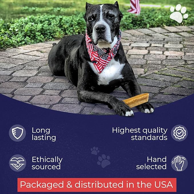 Devil Dog Pet Co. Himalayan Yak Cheese Dog Chews, Extra Large - 6 Pack, 100% Natural & Healthy, Lactose-Free, Long-Lasting Dog Treats, Premium Yak Milk Chew Bones for Dogs