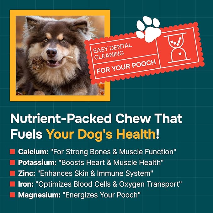 100% Natural - Elk Antlers for Dogs - Naturally Shed in USA - Long Lasting Chews for Aggressive Chewers - Natural, Real Dog Antler Treats & Toys - Dog Chews - No Odor & No Mess - Large